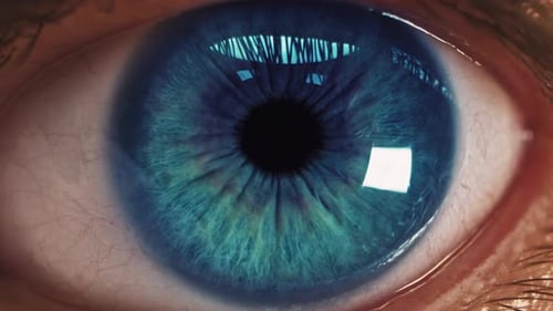 Close Up of a Detailed Blue Eye