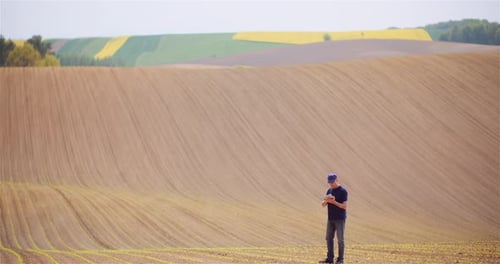 Agriculture - Farmer Examining Young Corn Growing at Agricultural Field