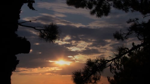 Dramatic Sunset Sky Framed by Silhouetted Branches
