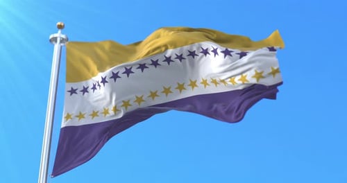 Bandera de sufragio femenino