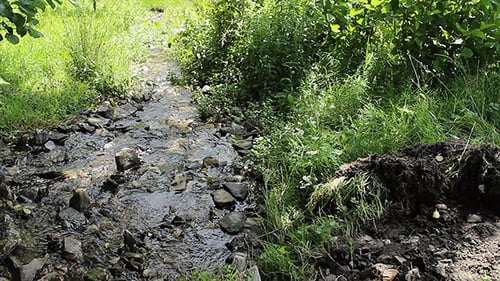 Spring Flows the River
