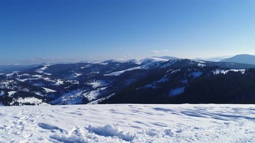 Winter Snow Trees. Aerial View Fly Over. Nature
