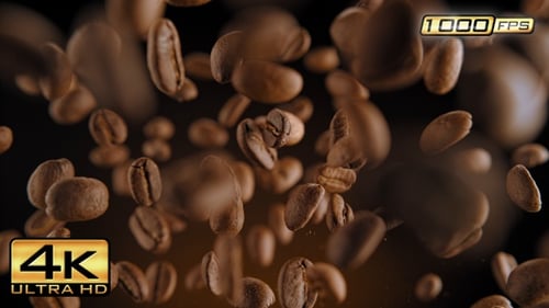 Roasted Coffee Beans Falling Against Dark Background