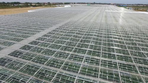 Greenhouse complex shooting from the air