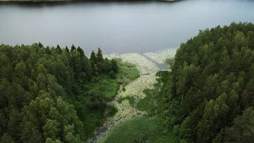 Winding River Ovsyanka 10