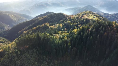 Aerial Sun Mountain Top with Pine Trees Forest at Autumn Mist