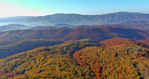 Scenic Aerial View in Picturesque Autumn Forest From the Height of the Mountains Landscapes