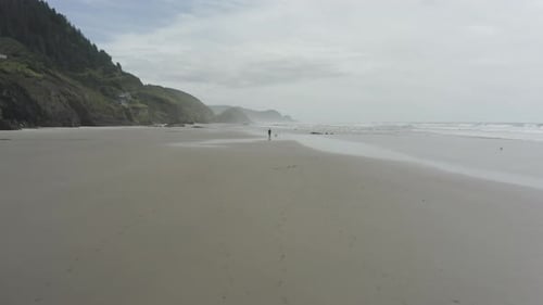 Solitary person walking a dog on an Oregon coast beach with a dog