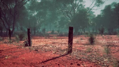 Hazy Outback Landscape with Rustic Barbed Wire Fence