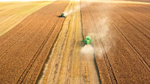 Two harvesters working on wheat field, aerial view