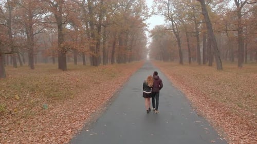Interracial-Liebeskonzept. Schönes junges interrassisches Paar, das im nebligen Herbst auf der Straße geht