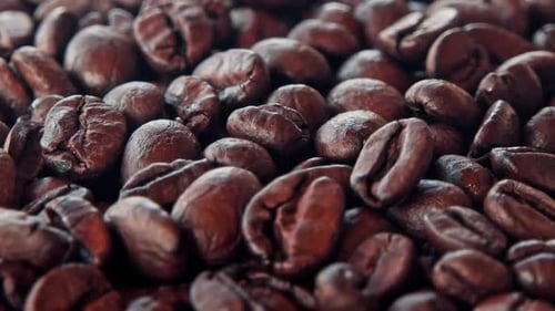 Roasted Coffee Beans Close Up Dolly Shot