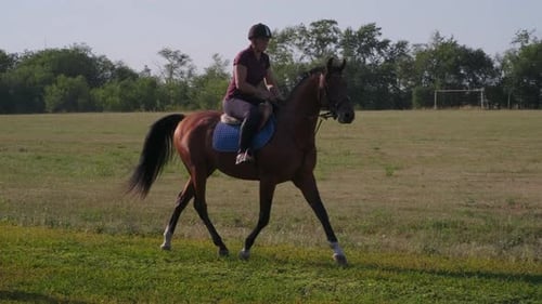 Woman Riding Horse at a Canter in Field