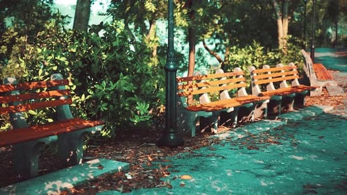 Pathways and Benches are Empty in Park During Covid19 Pandemic