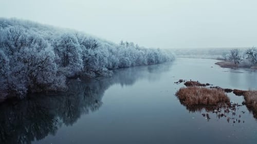 Beautiful Winter Landscape of Nature
