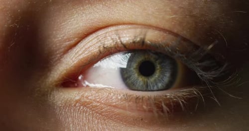 Nahaufnahme eines blauen Auges