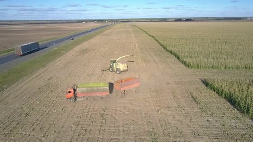 Combine and Truck Turn Around To Cut Corn for Silage