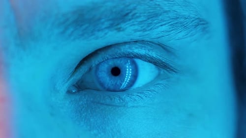 Nahaufnahme von Hackeraugen im Makro mit Blick auf den Computerbildschirm im Dunkeln Neonlicht