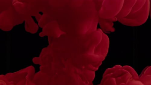 Red Paint Spreads Abstractly on Black Background