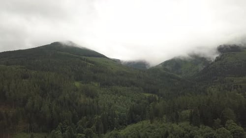 Aerial View of Evergreen Mountains on Overcast Day