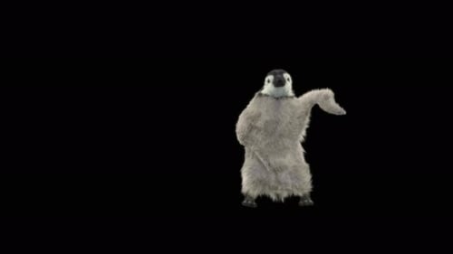 Penguin Dancing 4K