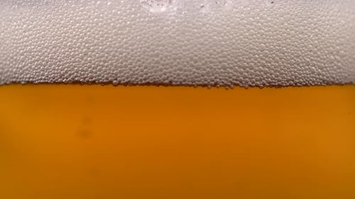 Bubbles Rising in a Glass of Golden Liquid