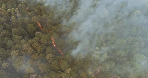 Aerial View with Panoramic Wildfire is Burning Trees Smoke Fire Dry Grass Forest in California