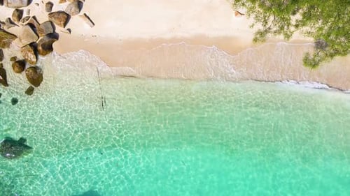 Beautiful Tropical Beach Aerial a Bird's Eye View of Ocean Waves Crashing Against an Empty Beach