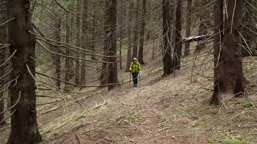 A Woman with a Backpack Travels in the Forest