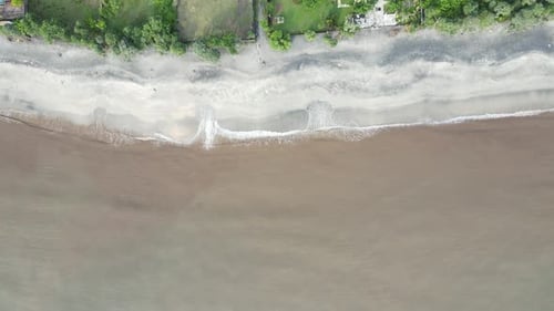 Beach Waves