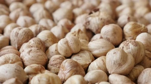 Food background of raw common hazelnuts 4K 2160p 30fps UltraHD footage - Cob fruit Corylus avellana