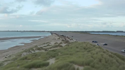 Low Flight Over Dune Grass Waving in Wind and Seagulls Passing By Near Beach with Cloudy Sky