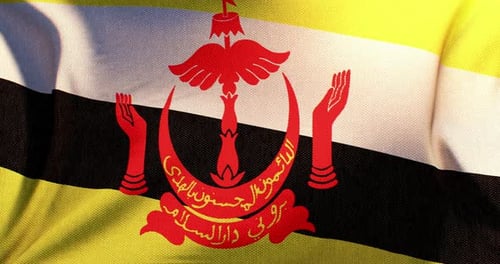 Waving Flag of Brunei 3D Render
