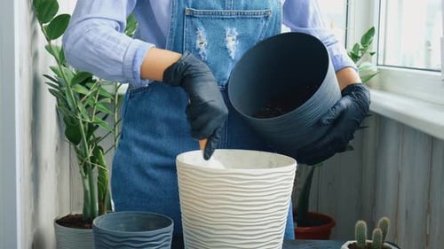 Woman Adding Soil to a Planter Indoors