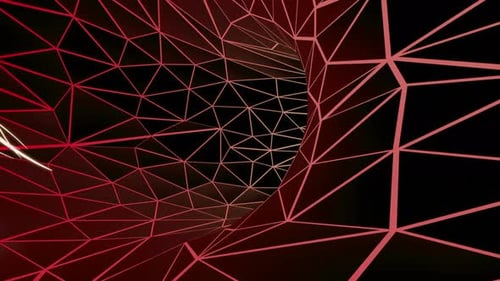 Flying backwards inside plexus tunnel