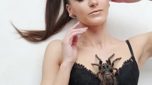 Imágenes de cerca de una chica sexy con una gran araña negra se encuentra sobre un fondo blanco