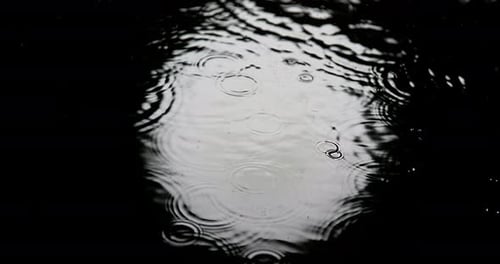 Rain Drops Create Ripples on Water Surface