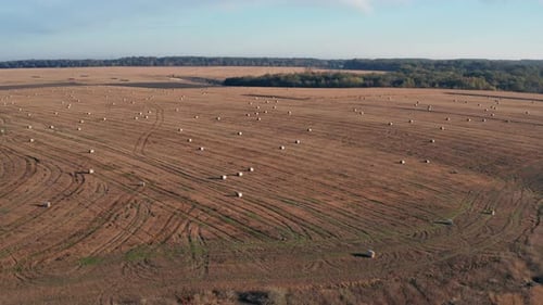 Beautiful morning flight over haystacks. The field is covered with hay.