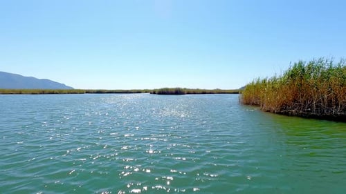 Scenic River with Reeds on Sunny Day