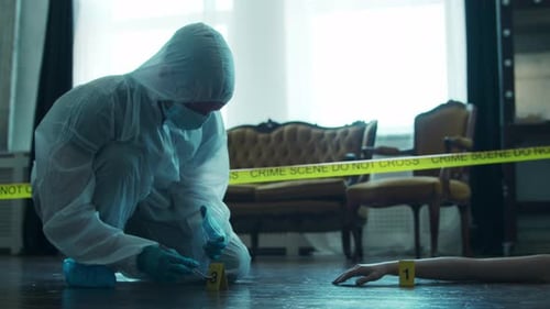 Investigator Examines Crime Scene Evidence Indoors