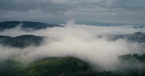 Drone Flies Over Mountain Forest with Low Clouds on Beautiful Landscape