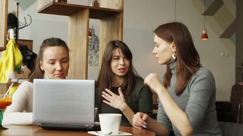 Colleagues Women Discuss Joint Project in Cafe Using a Laptop
