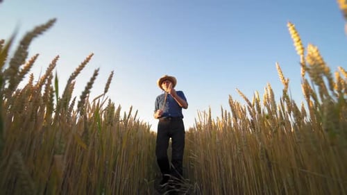 Man Walking Through Tall Grain Field with Straw Hat