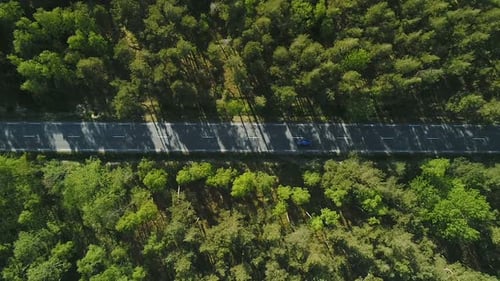 Luftbild der Straße im Wald 2