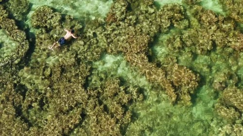 Tourists Snorkeling in the Lagoon Philippines El Nido