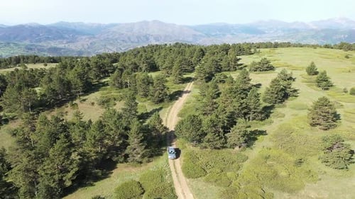 Aerial View Of Offroad Vehicle Driving On Forest Road