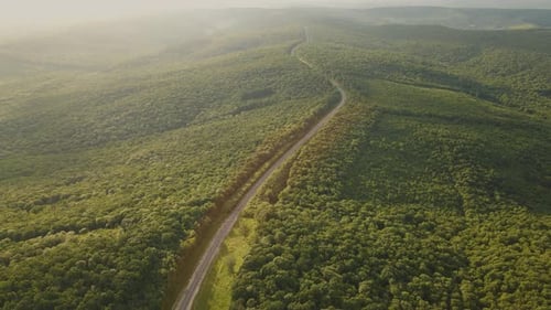 Aerial Flight Over the Road Between Forest at Sunrise