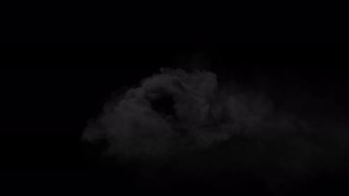 Dramatic Fluid Smoke Effect Revealing Transition for Logos and Text