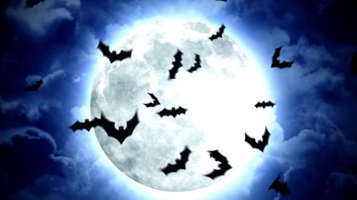 Flying Bats Across Bright Full Moon in Cloudy Halloween Night
