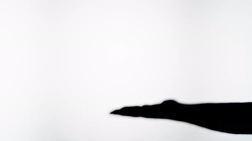 Abstract Hand Silhouettes Against White Background